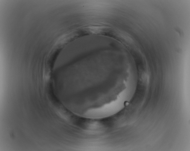 X0000114410507200910161209