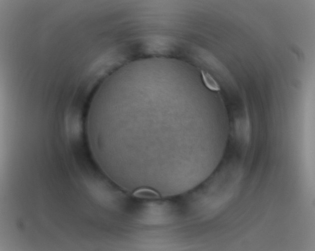 X0000114410508200910161209