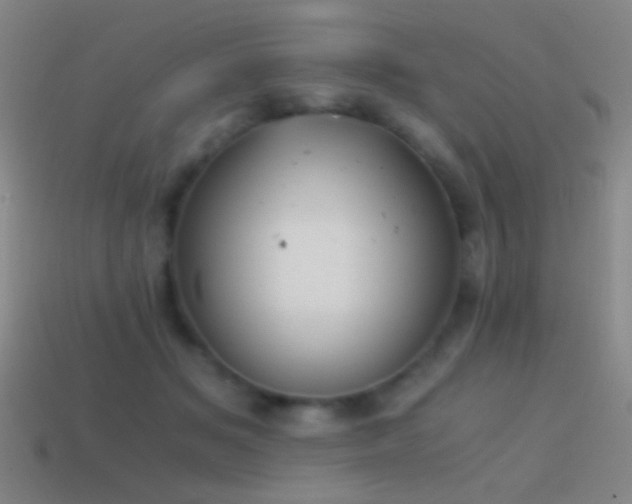 X0000114410509200910161209