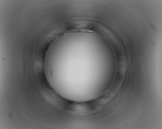 X0000114410510200910161209