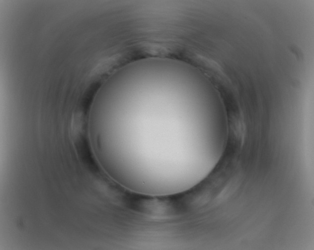 X0000114410511200910161209