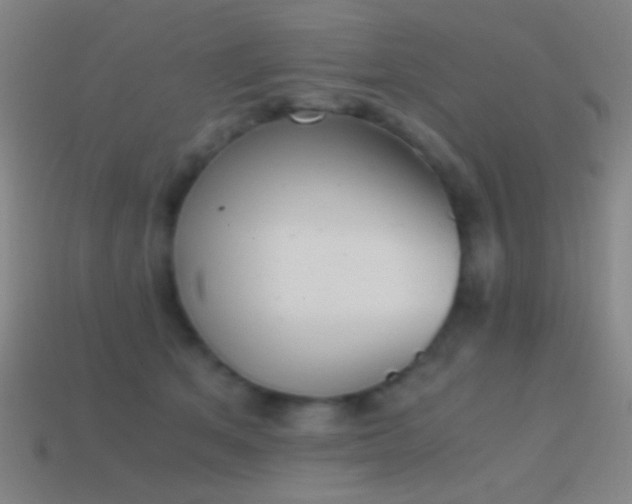 X0000114410513200910161209