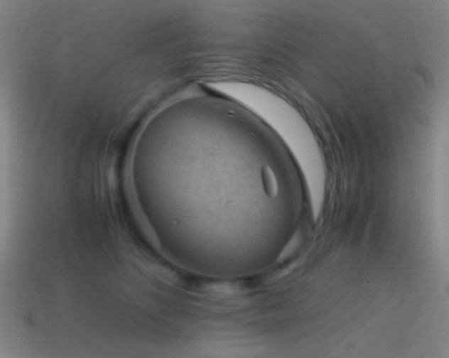 X0000114410516200910161209