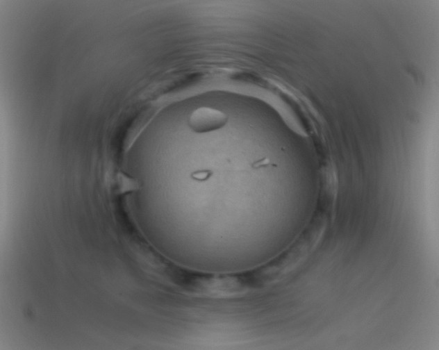 X0000114410517200910161209