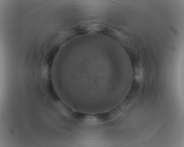 X0000114410519200910161209