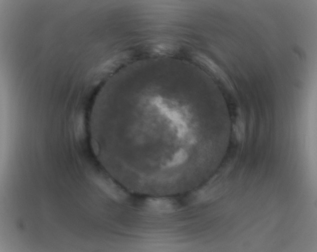 X0000114410520200910161209