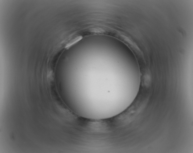 X0000114410521200910161209