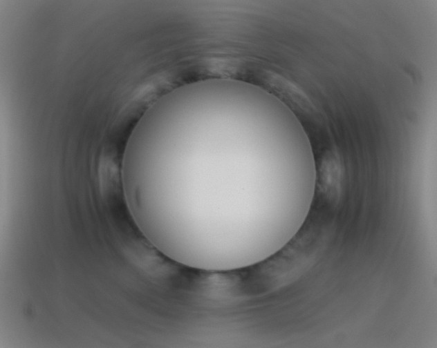 X0000114410522200910161209