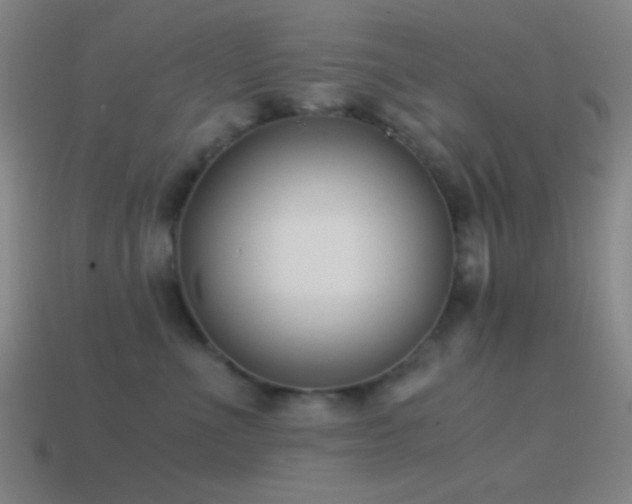 X0000114410523200910161209
