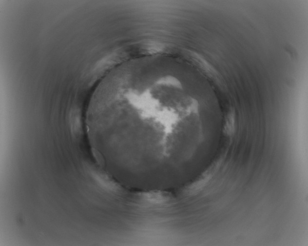 X0000114410524200910161209