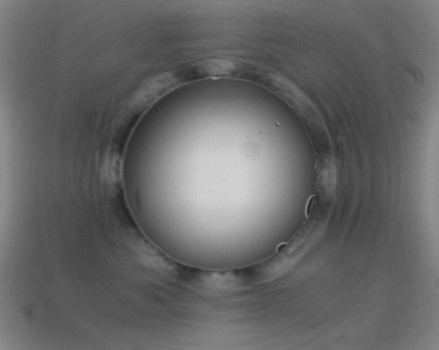 X0000114410525200910161209