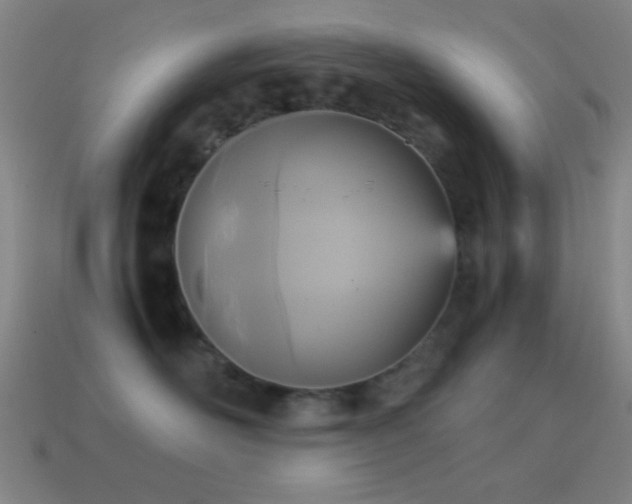 X0000114410526200910161209