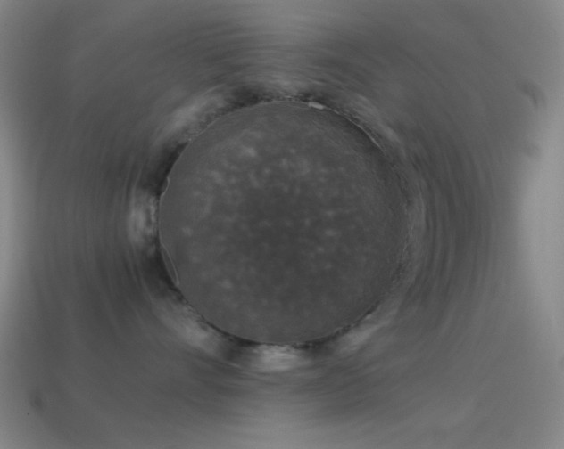 X0000114410528200910161209