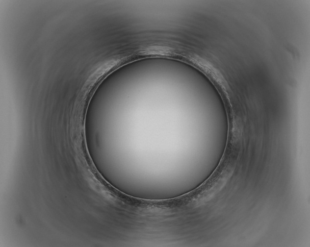 X0000114410529200910161209