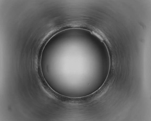 X0000114410530200910161209