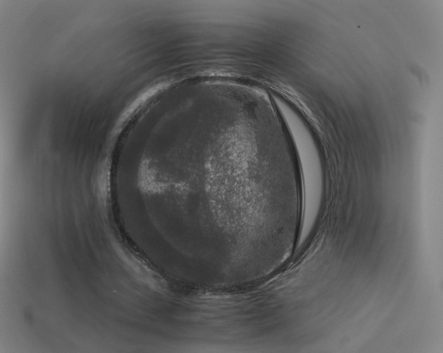 X0000114410531200910161209