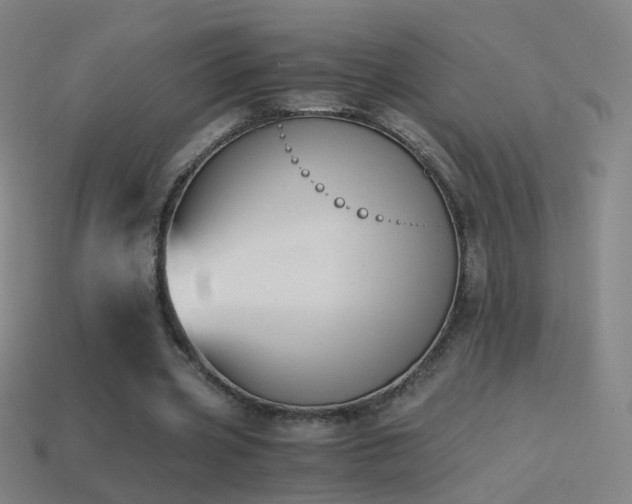 X0000114410533200910161209
