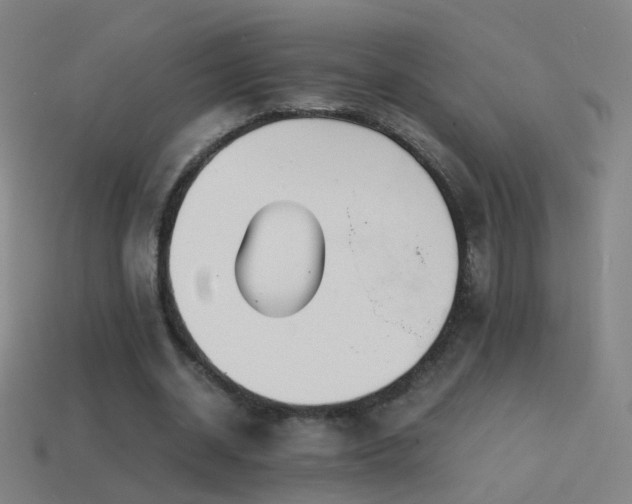 X0000114410534200910161209