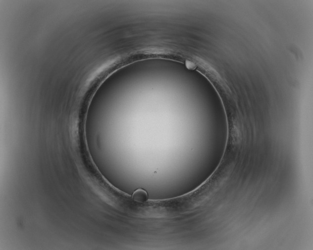 X0000114410535200910161209