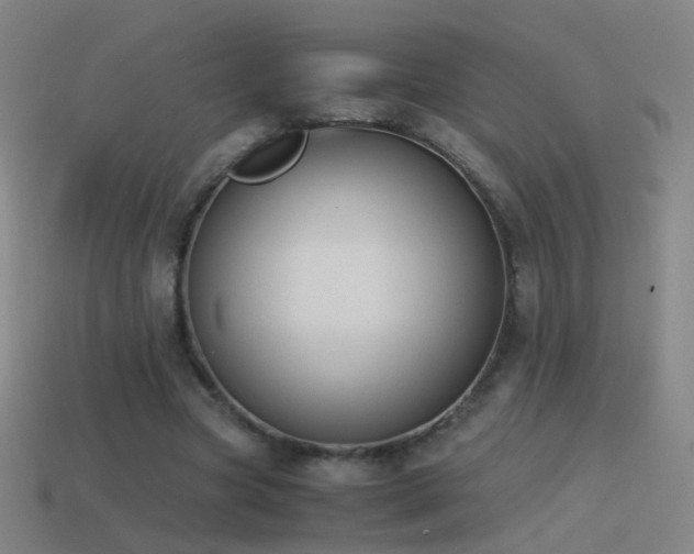 X0000114410537200910161209