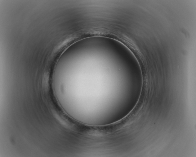 X0000114410538200910161209