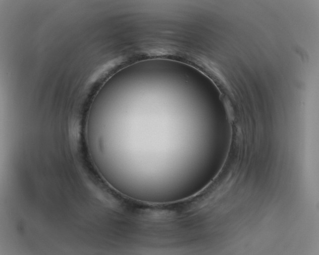 X0000114410539200910161209