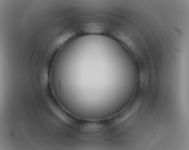 X0000114410541200910161209