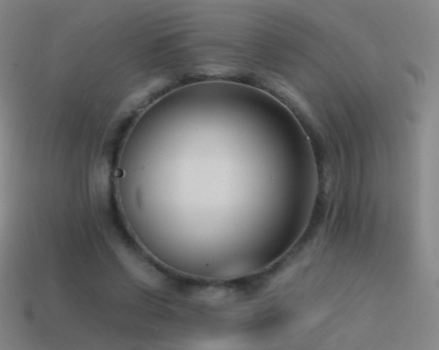 X0000114410542200910161209