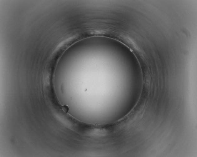 X0000114410543200910161209