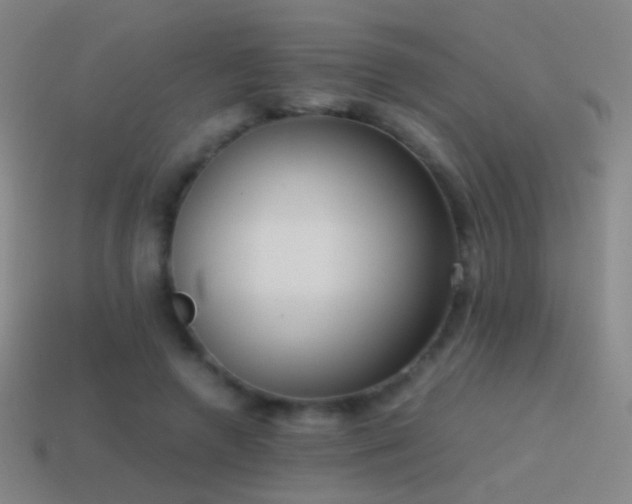 X0000114410546200910161209