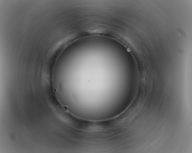 X0000114410547200910161209