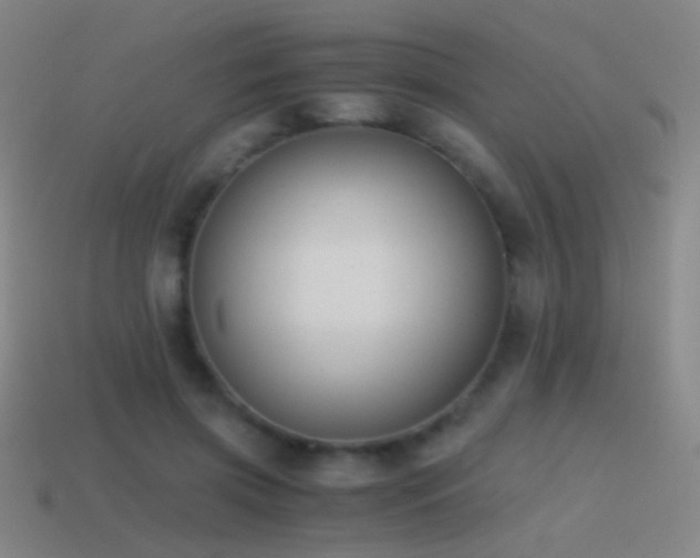 X0000114410549200910161209