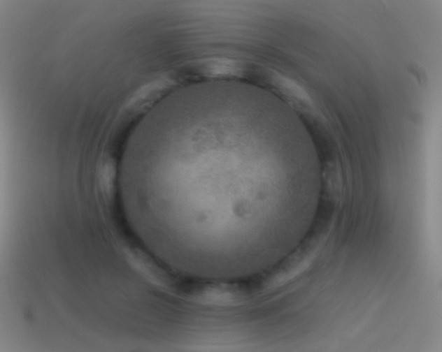 X0000114410550200910161209