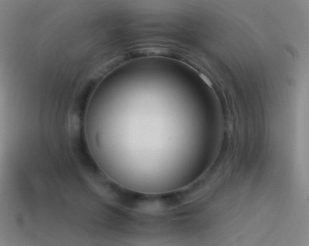 X0000114410551200910161209