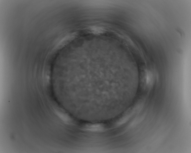 X0000114410553200910161209