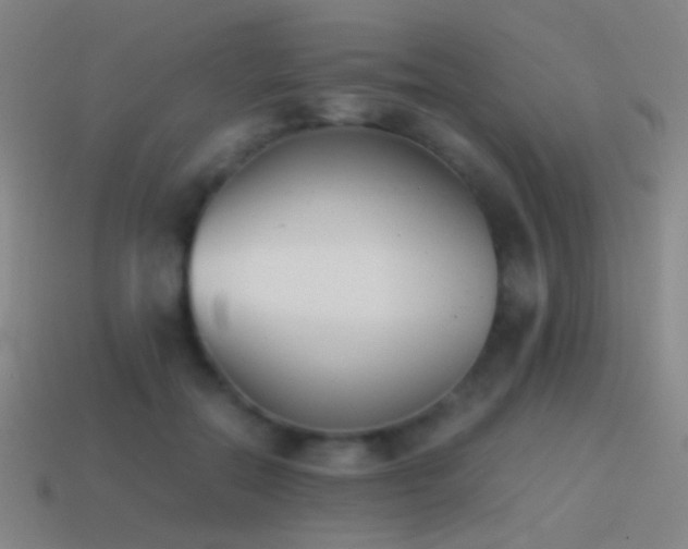 X0000114410554200910161209
