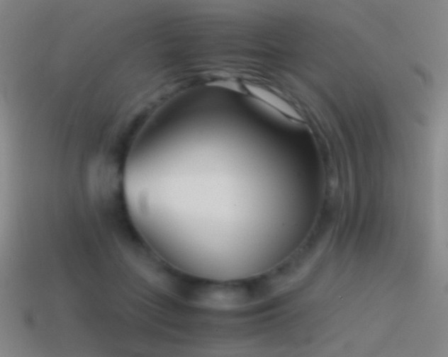 X0000114410555200910161209