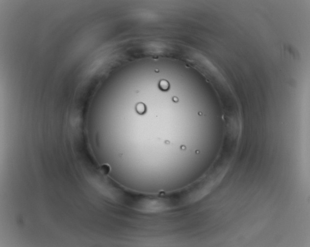 X0000114410557200910161209