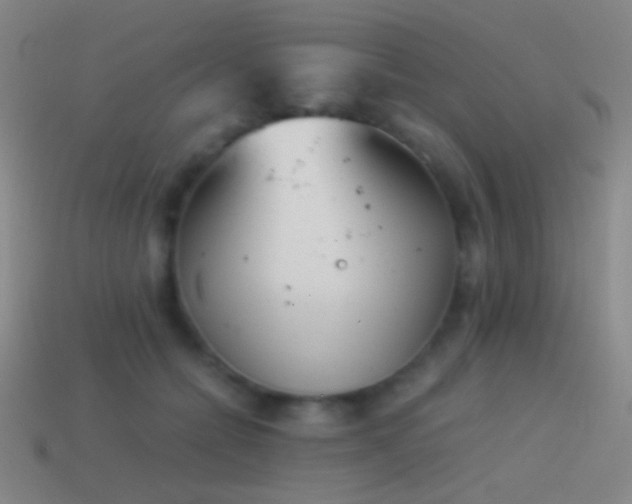 X0000114410558200910161209