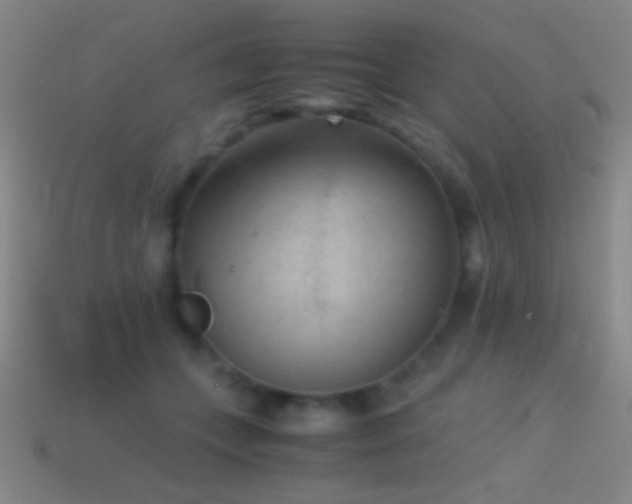 X0000114410559200910161209
