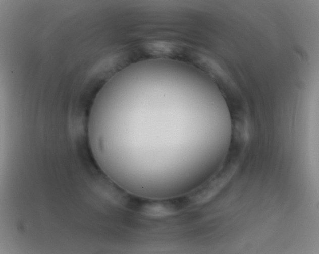 X0000114410561200910161209