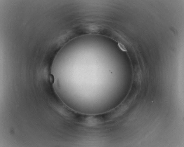 X0000114410562200910161209