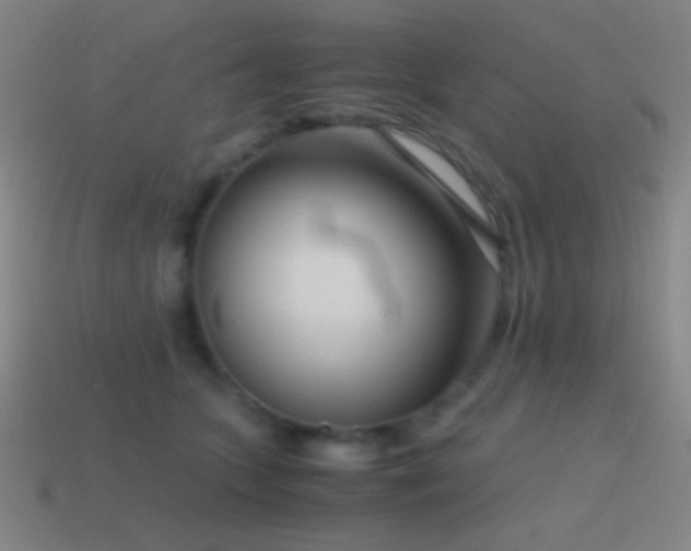 X0000114410563200910161209
