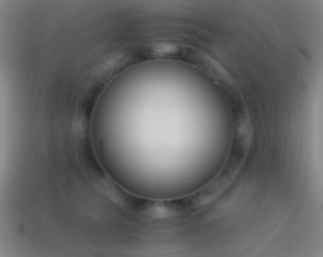 X0000114410565200910161209