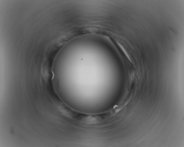 X0000114410566200910161209