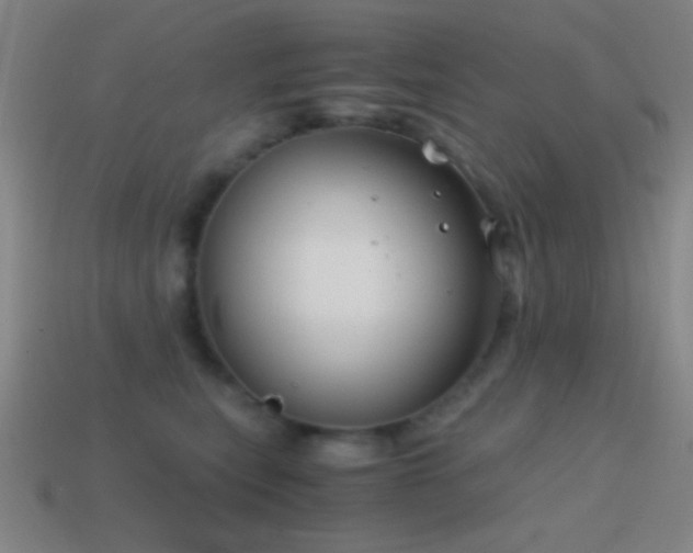 X0000114410567200910161209