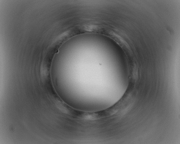 X0000114410569200910161209