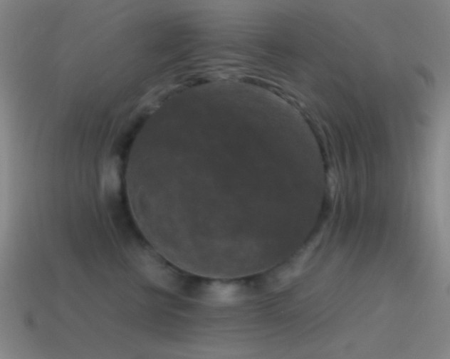 X0000114410570200910161209