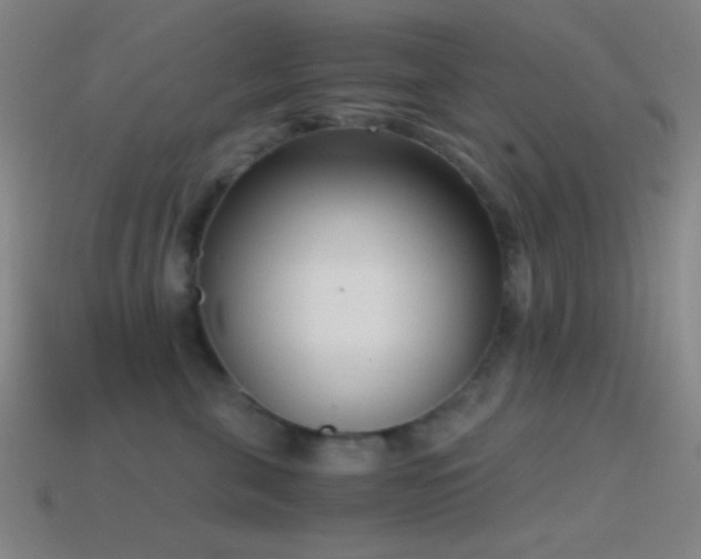 X0000114410571200910161209
