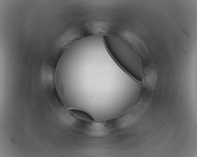 X0000114410573200910161209